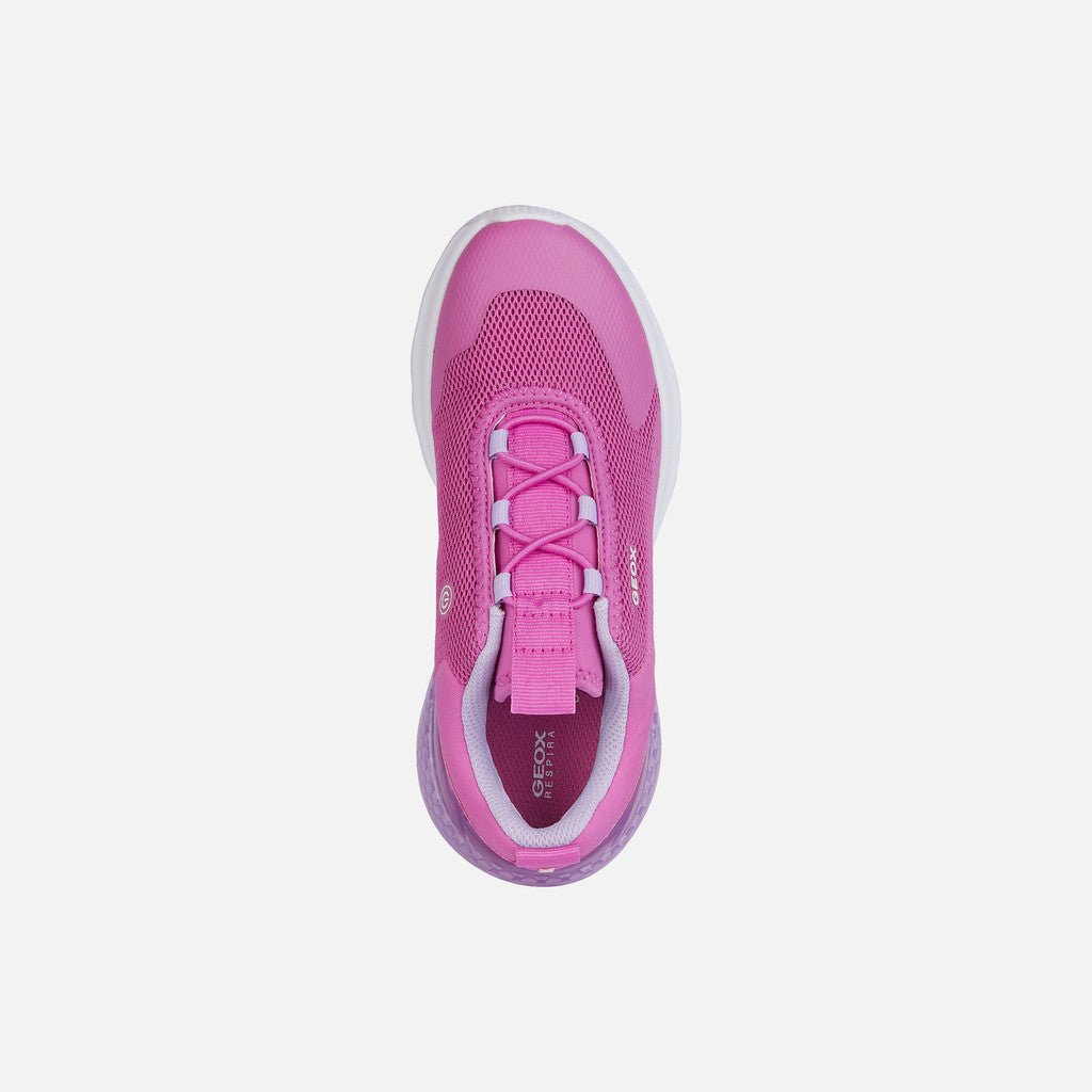 Geox - Activart Illuminus - Fuschia/Lilac - Two Giraffes Children's Footwear